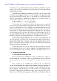 Triết Học Phần 12: [Thêm Mô Tả Nội Dung Chi Tiết để Tối Ưu SEO]