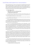 Triết học Phần 19: Tổng quan và phân tích chuyên sâu