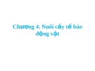 Nuôi cấy tế bào Động vật CNSHDV: Kinh nghiệm và kỹ thuật
