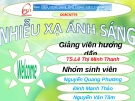 Báo cáo tiểu luận: Nhiễu xạ ánh sáng