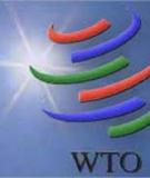 Tổng quan gia nhập WTO: Kinh nghiệm và đánh giá mới nhất