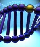 Phương pháp tìm công thức phân tử hóa hữu cơ: Bổ trợ kiến thức