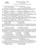 Đề thi thử đại học cao đẳng môn Hóa 2012: Đề số 004 (có đáp án)