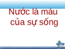Ô nhiễm môi trường nước: Nguồn tác nhân tác hại, chỉ số và biện pháp xử lý