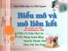 Biểu mô và mô liên kết: Tổng quan [chuẩn nhất]