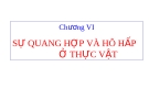 Sự quang hợp và hô hấp ở thực vật: Chương 6 (chi tiết)