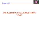 Sự đa dạng của giới thực vật - Chương III