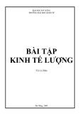 Các bài tập kinh tế lượng: Tổng hợp bài tập và giải pháp