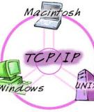 Thông điệp điều khiển và báo lỗi TCP/IP [Chuẩn SEO]