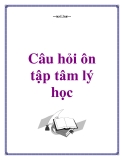 Câu hỏi ôn tập môn tâm lý học [chuẩn nhất]