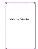 Marketing Ngân hàng: Tài liệu QTKD NHTM (Quản trị kinh doanh Ngân hàng thương mại)