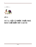 Luận Văn : XỬ LÝ NƯỚC THẢI NHÀ MÁY CHẾ BIẾN MŨ CAO SU