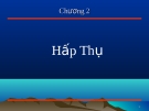 Bài giảng Hấp Thụ: Tổng hợp kiến thức và kinh nghiệm