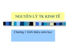 Bài giảng Nguyên lý thống kê kinh tế: Tổng hợp kiến thức chuẩn nhất