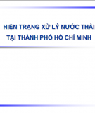 Hiện trạng xử lý nước thải tại thành phố hồ chí minh 