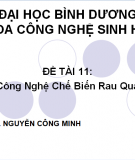 Công nghệ chế biến rau quả: Đề tài nghiên cứu [Mới nhất]