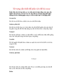 Từ vựng cần thiết để phân tích đề bài essay