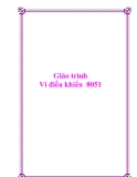 Tài liệu Vi điều khiển 8051: Chi tiết và đầy đủ nhất