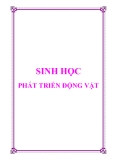 Sinh học phát triển động vật 