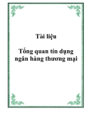 Tổng quan tín dụng ngân hàng thương mại: Tài liệu [mới nhất]