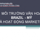 Ảnh hưởng của Môi trường Văn Hóa Brazil và Mỹ đến Hoạt Động Marketing