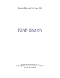 Báo cáo phát triển Kinh Doanh Việt Nam 2006: Tổng quan và phân tích