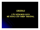 Thiết kế cầu bê tông cốt thép: Chương 5 (Hướng dẫn chi tiết)