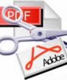 Nâng cấp Adobe Reader để ngăn chặn Zeus: Mẹo và Thủ thuật