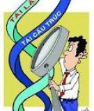 Tái cấu trúc doanh nghiệp: Kinh nghiệm cho thấy hợp thời chưa chắc đã hợp lý