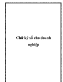 Chữ Ký Số Cho Doanh Nghiệp: Tư Vấn, Đăng Ký và Báo Giá Tốt Nhất