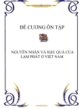 Đề cương ôn tập: Nguyên nhân và hậu quả của lạm phát ở Việt Nam