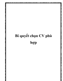 CV: Bí quyết chọn CV phù hợp nhất