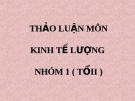 Thảo luận môn Kinh tế lượng: Kinh nghiệm và giải đáp