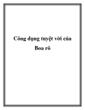 Công dụng tuyệt vời của Boa rô