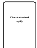 Cảm xúc của doanh nghiệp: Kinh nghiệm và lời khuyên