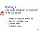Ước lượng dòng tiền và phân tích rủi ro của dự án: Chương 7