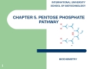Pentose Phosphate Pathway: Tổng Quan và Chi Tiết (CHAPTER 5)
