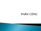 Tin Học Đại Cương: Tìm Hiểu Về Phần Cứng [Chuẩn Nhất]