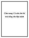 Cẩm nang: Có nên cho bé trai uống sữa đậu nành