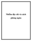 Nhiễm độc chì và cách phòng ngừa