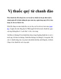 Vị thuốc quý từ chanh đào