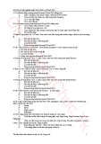 160 câu hỏi trắc nghiệm Word 2003 - 2007: Tổng hợp đầy đủ nhất