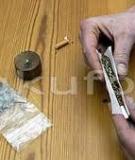 Heroin, Cần Sa, Cocaine: Phân Biệt Sự Khác Nhau Chi Tiết