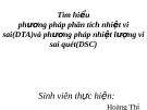 Phương pháp phân tích nhiệt vi sai (DTA) và phương pháp nhiệt lượng vi sai quét (DSC): Tìm hiểu chi tiết