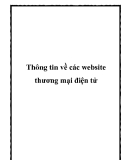 Thông tin về các website thương mại điện tử [mới nhất]