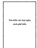 Các loại ngân sách phổ biến: Tìm hiểu chi tiết