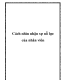 Cách nhìn nhận sự nỗ lực của nhân viên hiệu quả nhất