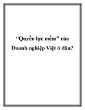 Quyền lực mềm của Doanh nghiệp Việt: Thực trạng và Giải pháp