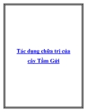 Tác dụng chữa trị của cây Tầm Gửi: [Thông tin chi tiết/ Kinh nghiệm hay/ Mới nhất]