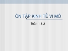 Ôn tập kinh tế vi mô: Kinh nghiệm và bài tập